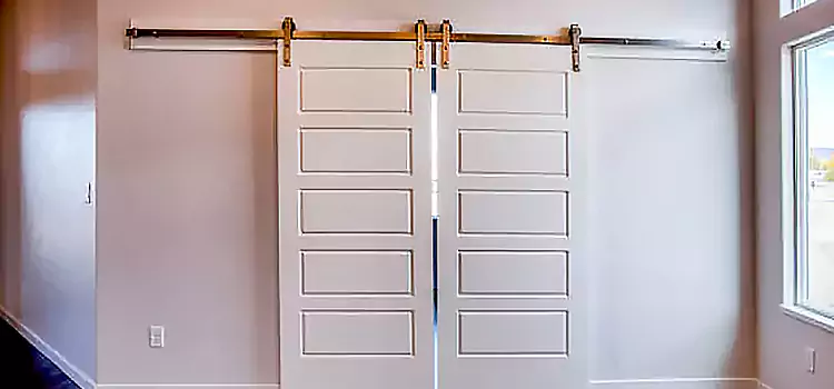 Glass Barn Door with Installation Hardware Kit Twin Falls